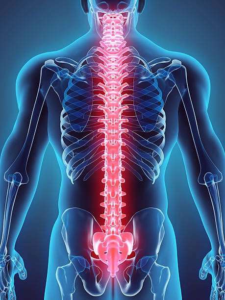 Ortho & Spine