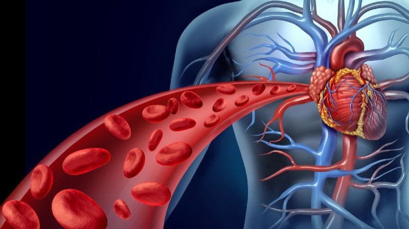 Vascular