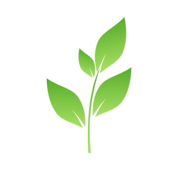 leaf icon