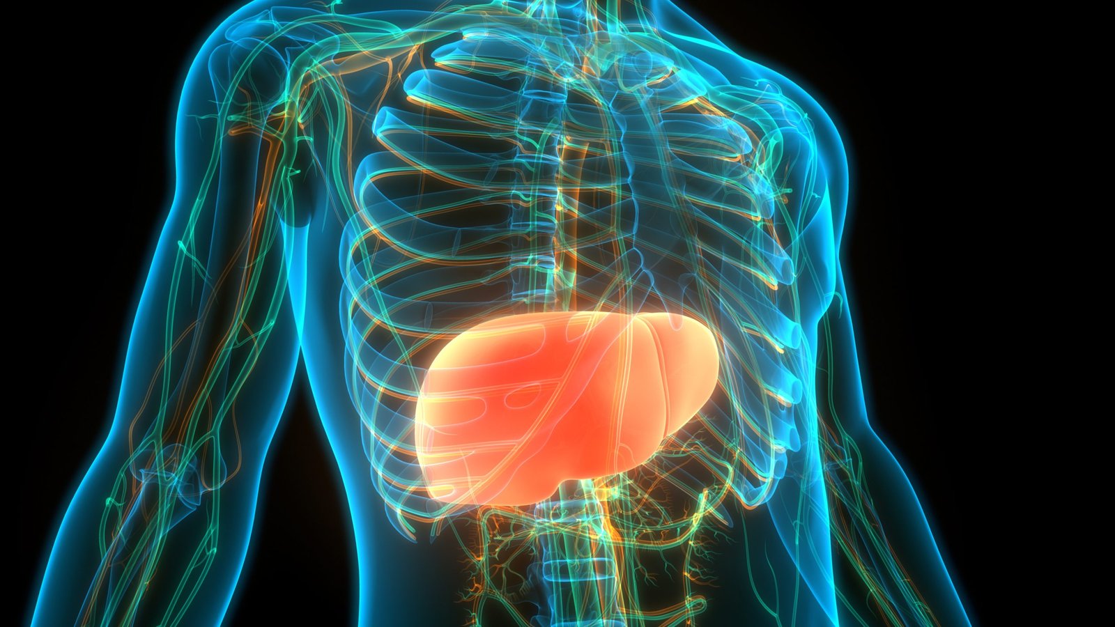 Liver Management