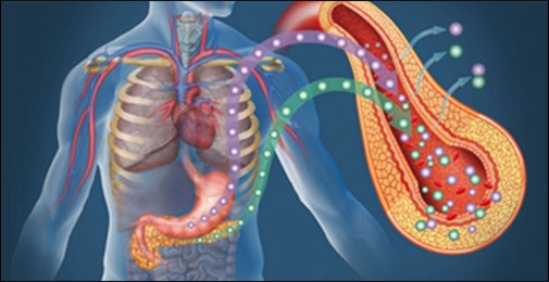 Metabolic Disorders