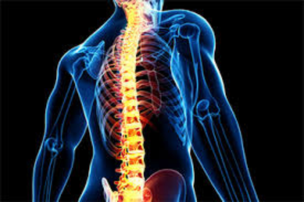 Ortho & Spine