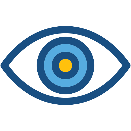 Vision